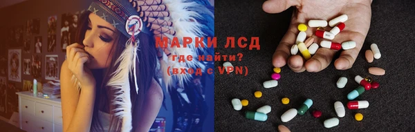 гидра Инсар