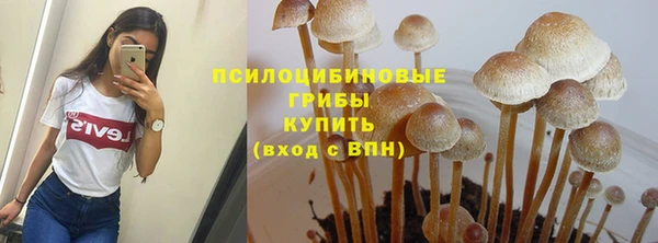 тгк Инта