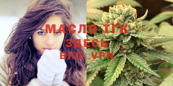 гидра Инсар