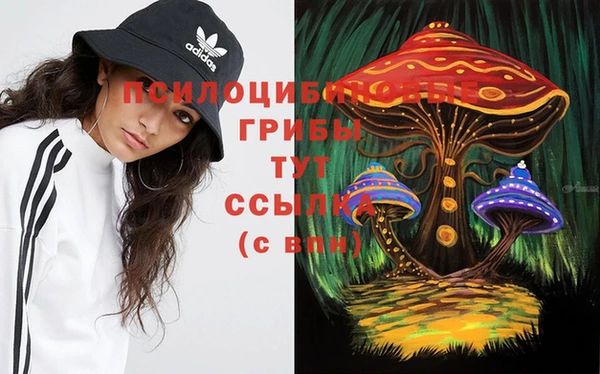 бутират Иннополис