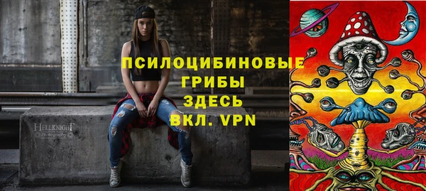 тгк Инта