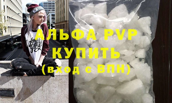 гидра Инсар