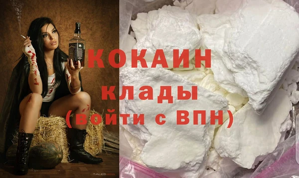 гидра Инсар