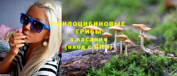бутират Иннополис