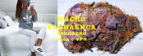 гидра Инсар