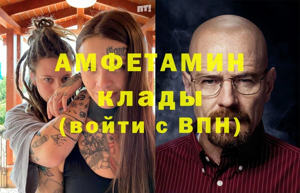 тгк Инта