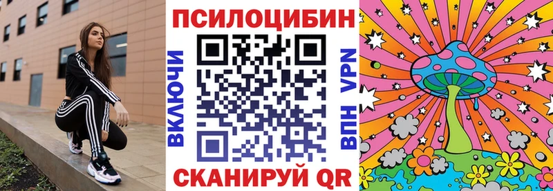 Псилоцибиновые грибы GOLDEN TEACHER  Купить  Рудня 